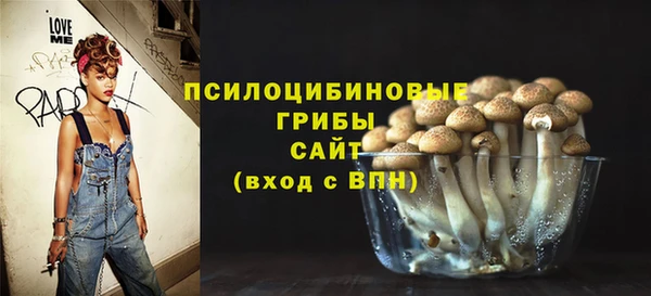 шишки Богданович