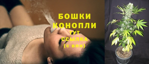 амф Богородицк