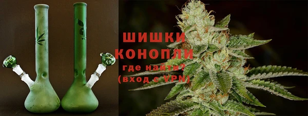 амф Богородицк
