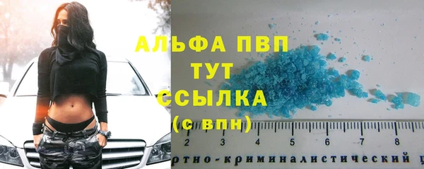 амф Богородицк