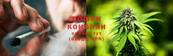 амф Богородицк