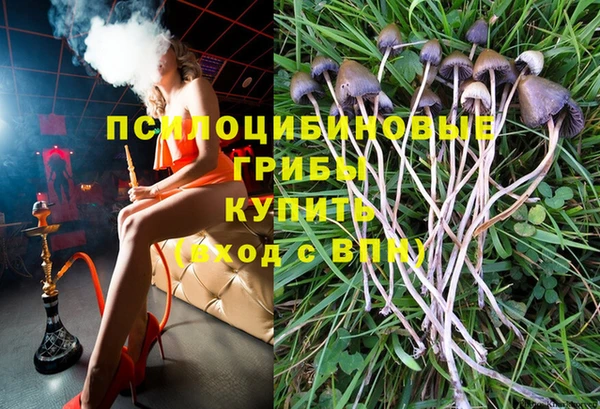 шишки Богданович