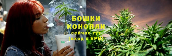 шишки Богданович