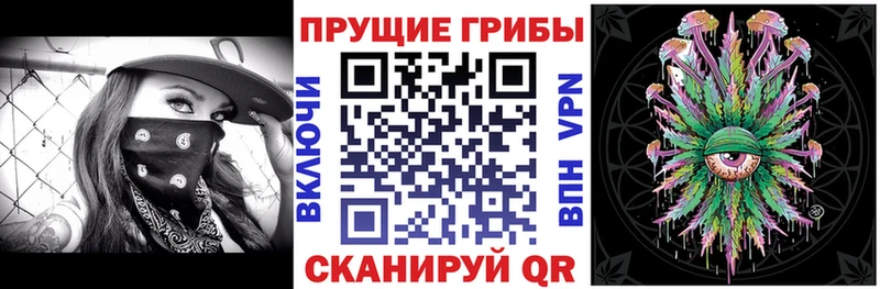 Галлюциногенные грибы Psilocybe  Тольятти 